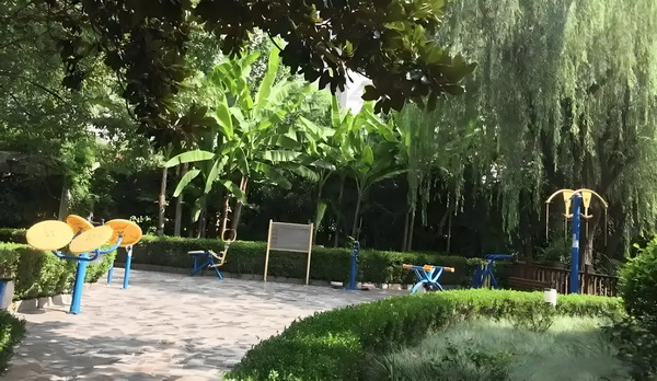 深圳非全日制本科可以落户吗_预售惨淡人气暴跌谁也救不了“狂妄自大”的那英 本人位日第四获此这是殊荣